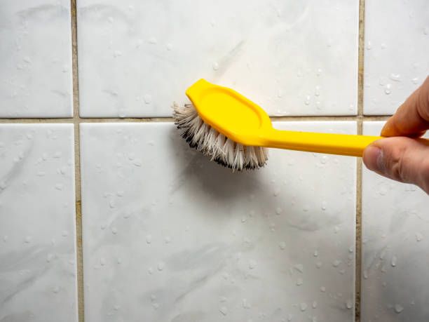 Mold Removal Process in Pelzer, SC