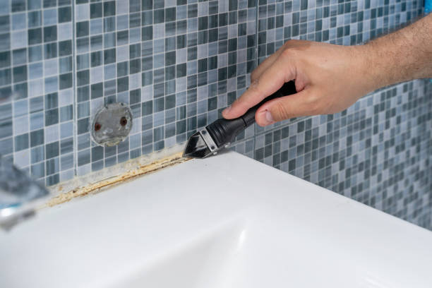Best Commercial Mold Removal  in Pelzer, SC